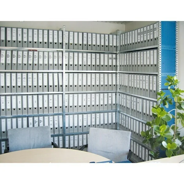 BAUHAUS Scholz Aktenregal Grundelement Länge: 1.250 Mm, Breite: 300 Mm, Höhe: 2.640 Mm, Traglast: 60 Kg/Boden, Anzahl Böden: 8 Stk. 6